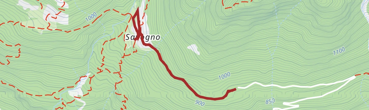 Savogno with joelette